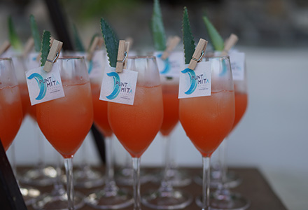 Coctel de Bienvenida