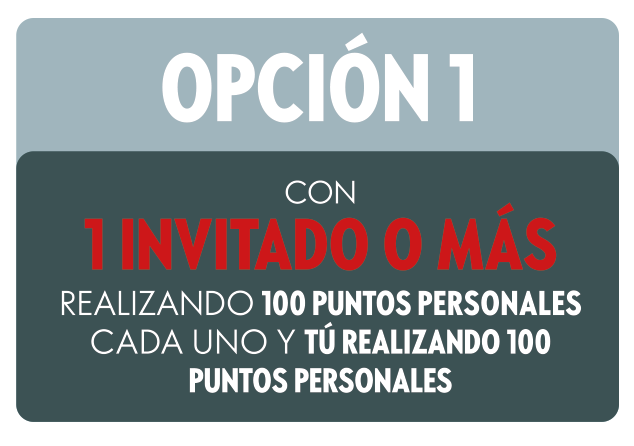 Opción 1